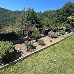 Apple & Pear * Rocinj