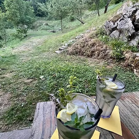 Apple & Pear Rocinj