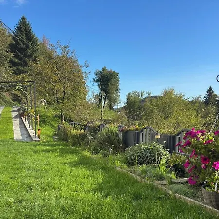 Apple & Pear * Rocinj