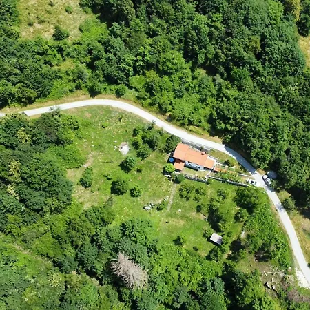 Apple & Pear * Rocinj